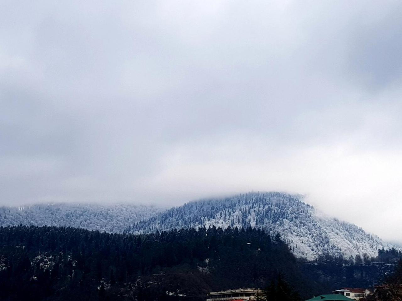 Appartamento Ananiko Borjomi Esterno foto