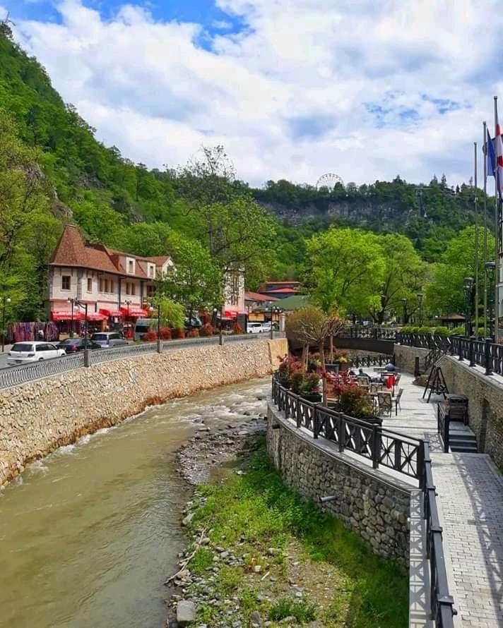 Appartamento Ananiko Borjomi Esterno foto